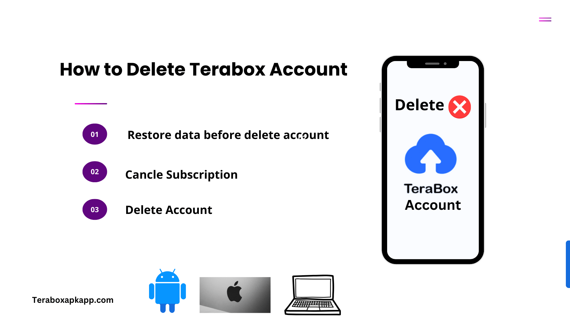 How to delete Terabox Account?